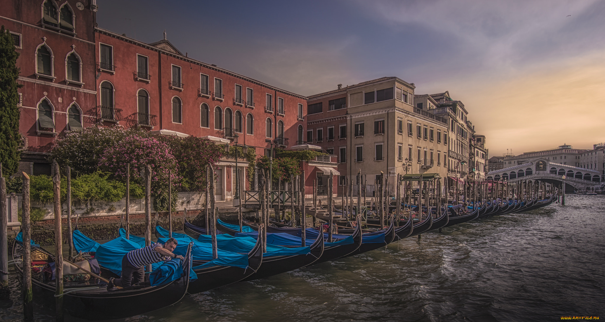 gondolas at rialto in venice, , ,  , 